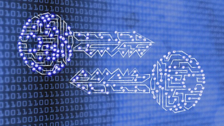 La crittografia è un elemento fondamentale della sicurezza informatica. Protegge i dati sensibili da intrusioni, furti e accessi non autorizzati.