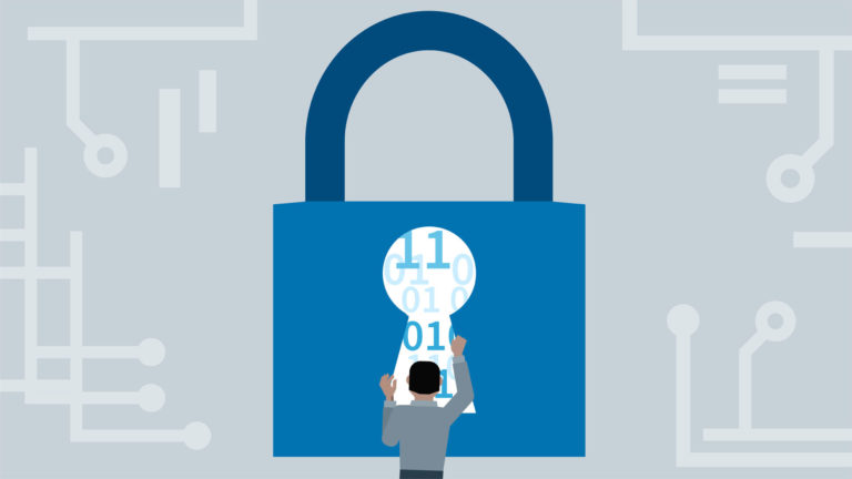 software spia e sistemi di accesso curation