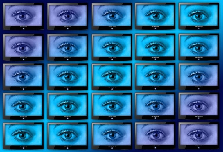 l'ombra di un mega database americano