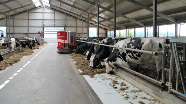 In Svizzera un ransomware ha costretto un allevatore a sopprimere una mucca in attesa di un vitello. Anche la cybersecurity del settore primario in Italia è da migliorare