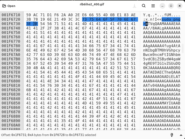 AsyncRAT figura 3