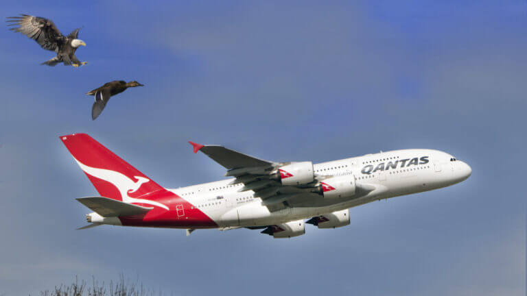 Qantas Airways ha avuto un problema con la supply chain da cui è scaturito un leak di dati di 5,7 milioni di clienti