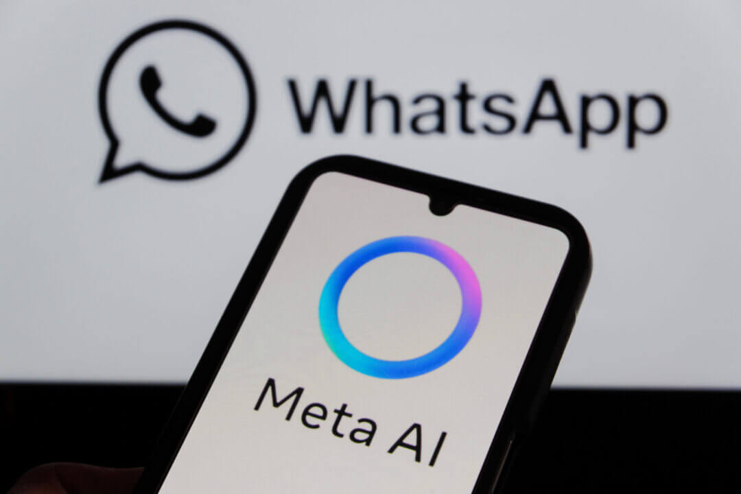 WhatsApp chatbot AI rivali
