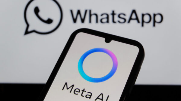 WhatsApp chatbot AI rivali