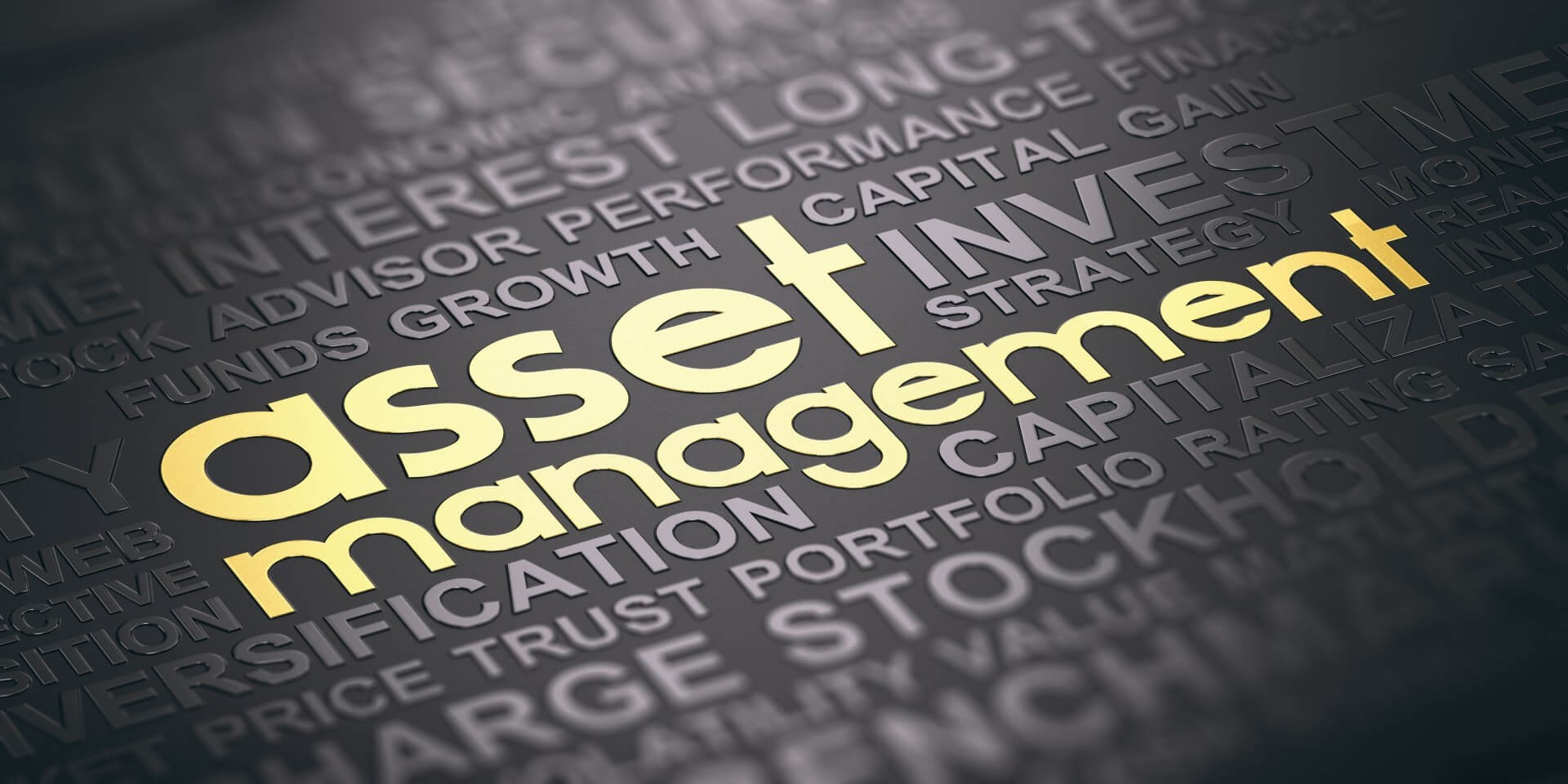 asset management metodologie di classificazione
