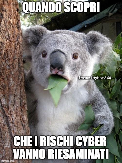 meme4cyber360_riesamerischi