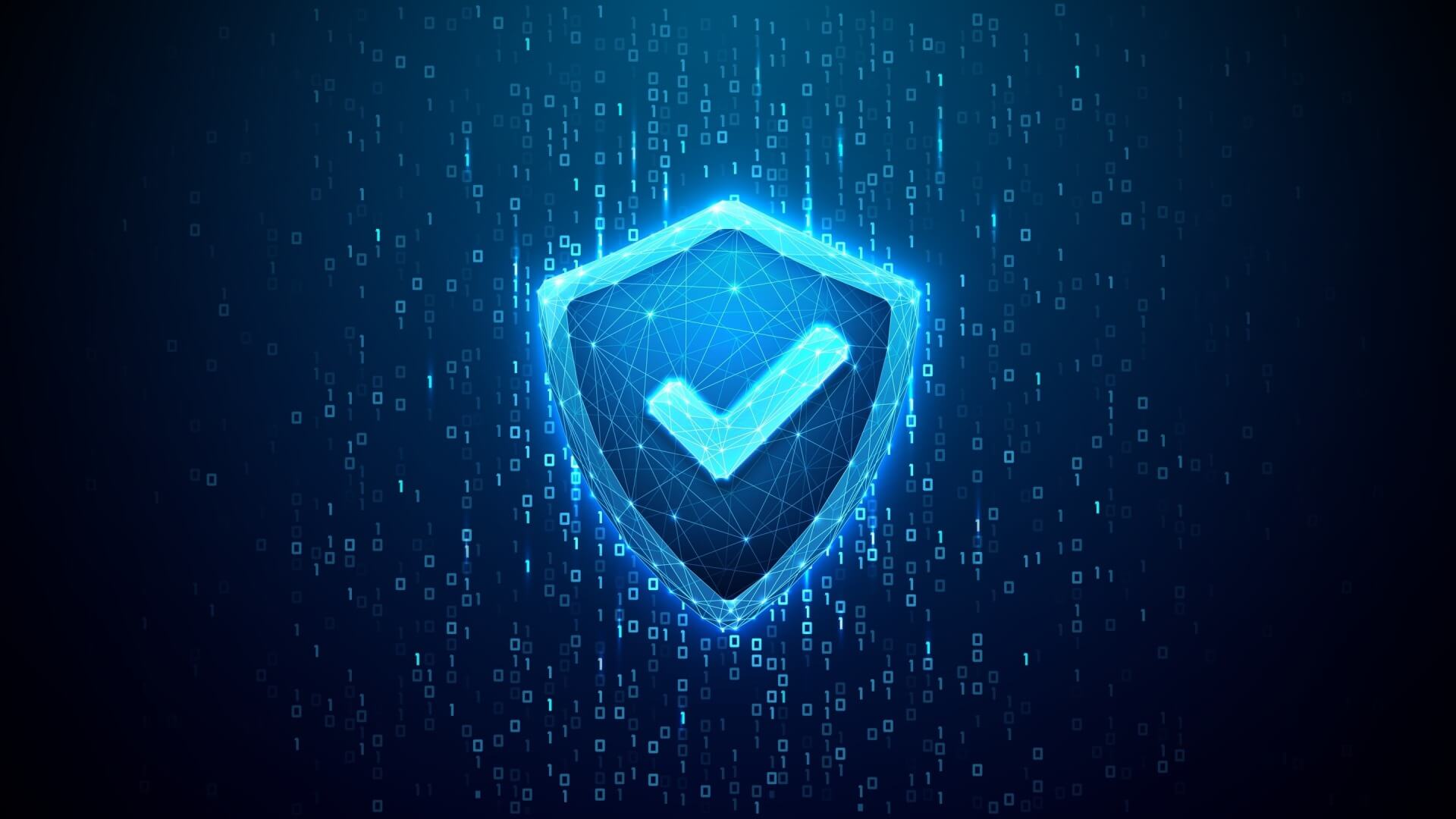 cyber insurance
